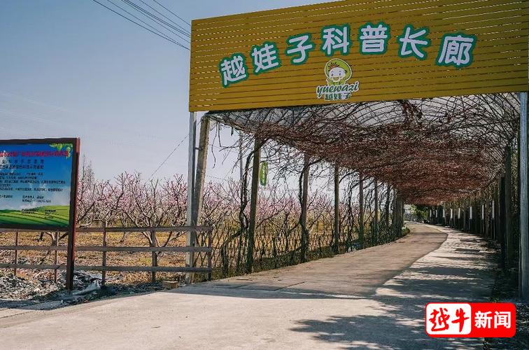 相约皋埠，向春而行！五一快来绍兴这里嗨